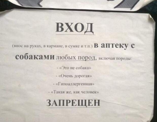 25 уморительных объявлений: так могли написать только наши люди!