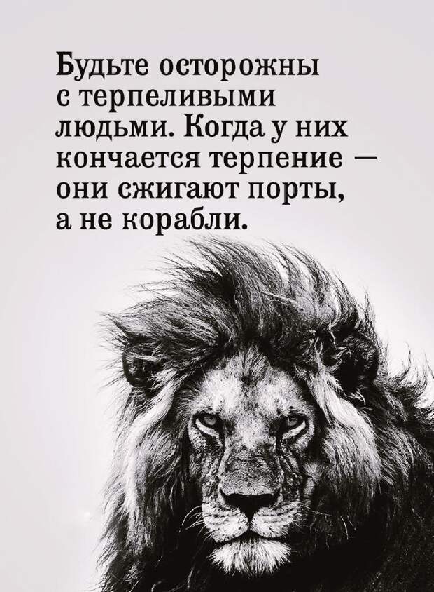 Несколько хороших фраз о правде жизни