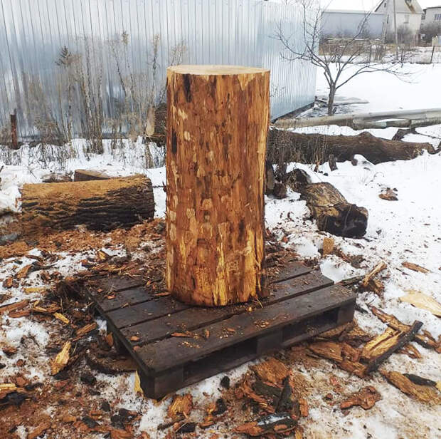 Воронежец бензопилой делает из дерева собак, как живых
