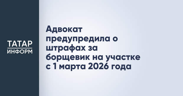 Адвокат предупредила о штрафах за борщевик на участке с 1 марта 2026 года