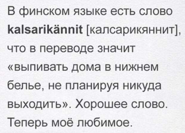 Юмор на любителя Юмор на любителя