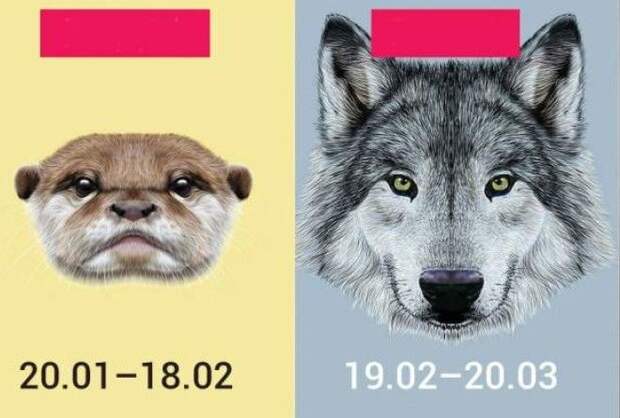 У меня все совпало!