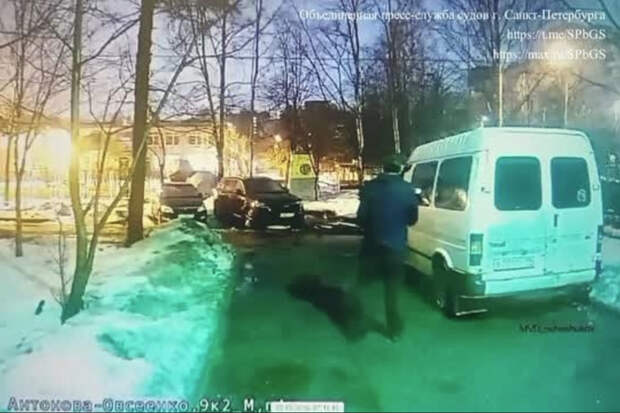 Спасавший с ножом в руках «похищенного ребенка» в российском городе попал на видео