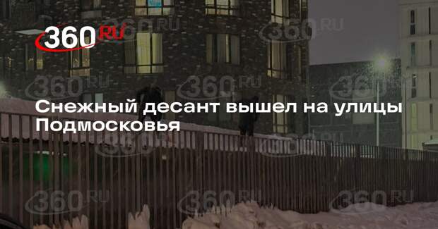 Снежный десант вышел на улицы Подмосковья