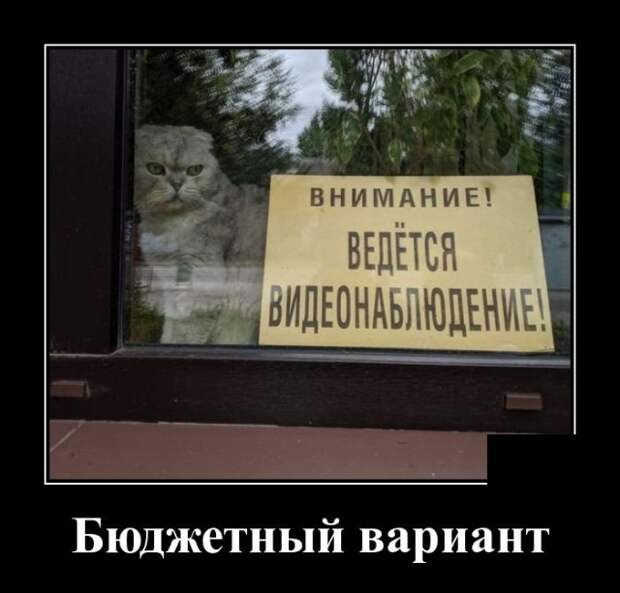 Демотиваторы (20 фото)