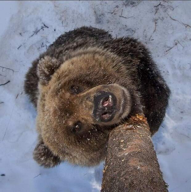 Ну чего ты разорался? Ну чего ты разорался?