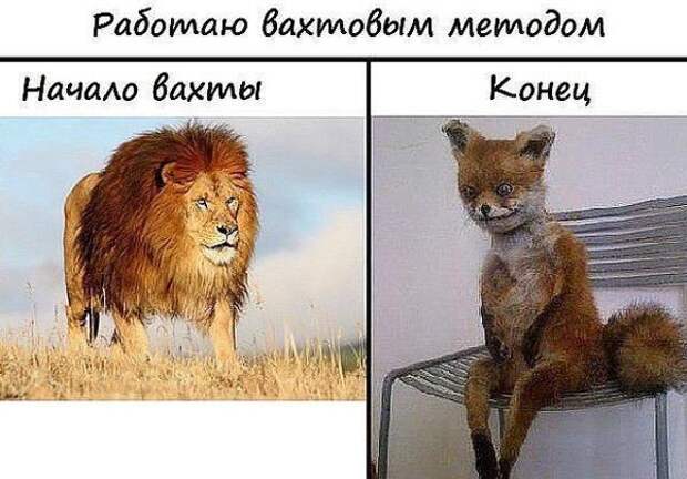 Вахтовая работа - она такая Вахтовая работа - она такая