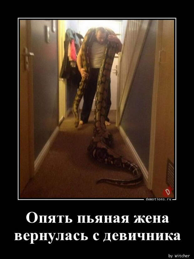 1591339582_demki-20.jpg