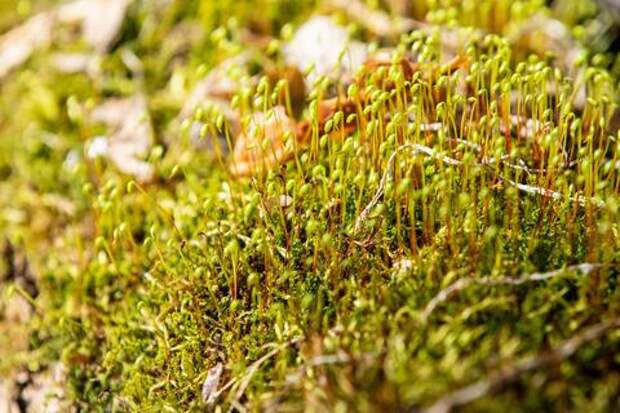 Самый теплый день весны: воздух на Кубани прогреется до +24