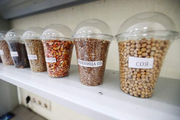 Россиянам раскрыли простой и мощный инструмент для долголетия