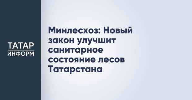 Минлесхоз: Новый закон улучшит санитарное состояние лесов Татарстана