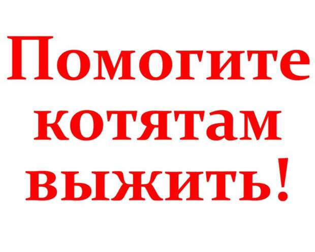 Помогите, пожалуйста, временным пристанищем или ручками хотя бы малышам!!!