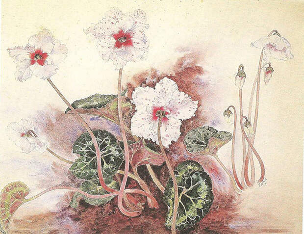 Рисунок Эмиля Галле. Рисунок Эмиля Галле.