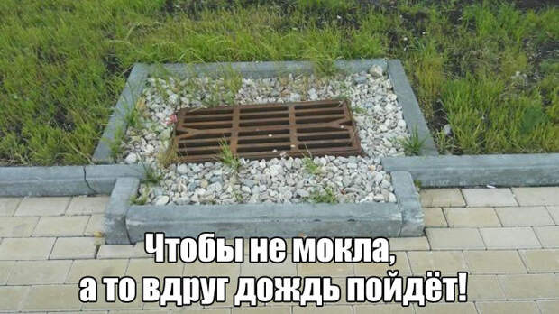 Очередная порция картинок с подписями картинки с подписями, подборка, позитив