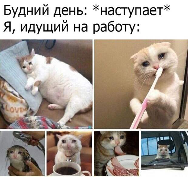 www.vsyako.net
