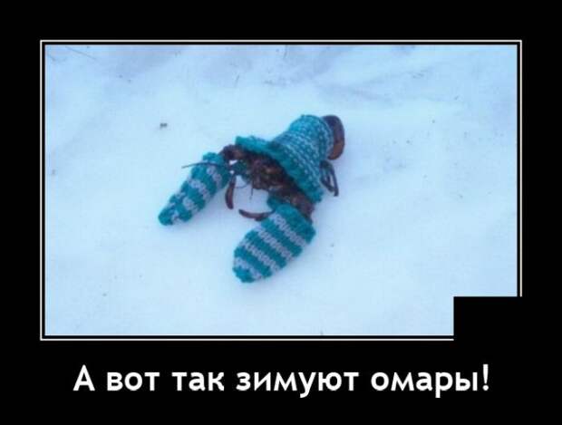 Демотиваторы 5 июля 2021