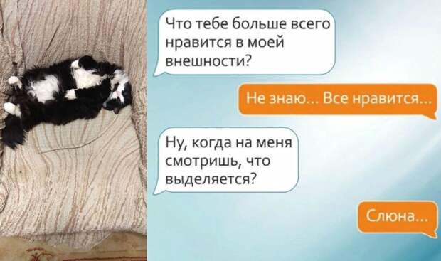 Пуся + Яндекс картинки