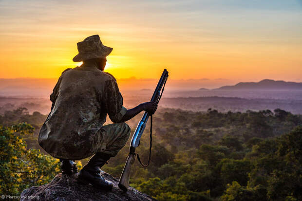 Лучшие фотографии Африки 2020