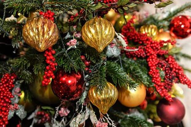 Россиянам отсоветовали отказываться от живых елок из-за насекомых