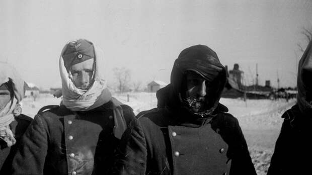 Картинки по запросу Вши, тиф и Гитлер. Как погибли немецкие пленные Сталинграда?