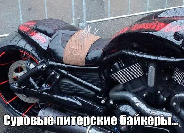 Очередная порция картинок с подписями картинки с подписями, подборка, позитив