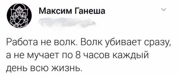 инторнэтное насобиралово