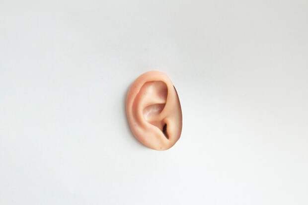 Каким считается "золотой стандарт" размера ушей? Длина мужской ушной раковины должна составлять 50-82 мм, а ширина — 32-52 мм. У женщин длина уха приблизительно равна 50-77 мм, а ширина — 28-45 мм.