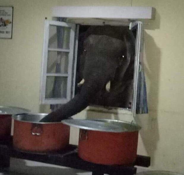 Что-то с реальностью не всё в порядке