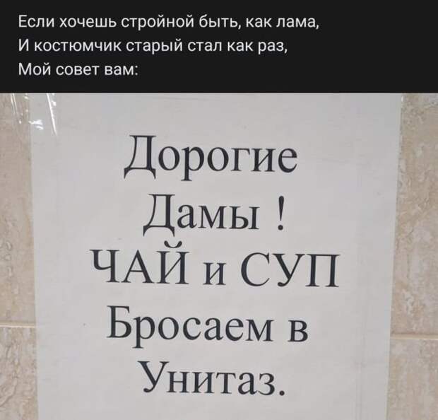 стих про унитаз