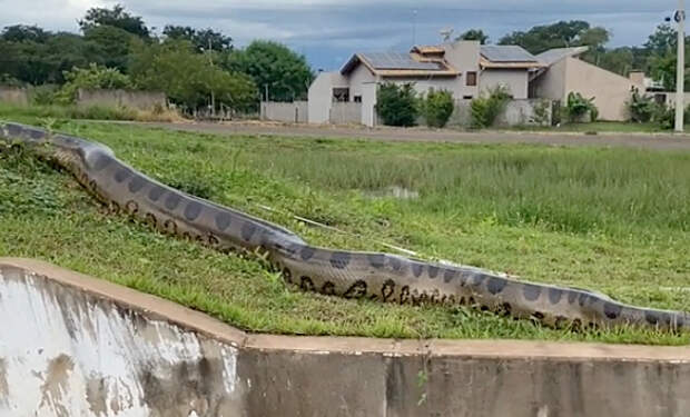 Кадр из видео @gabrito4