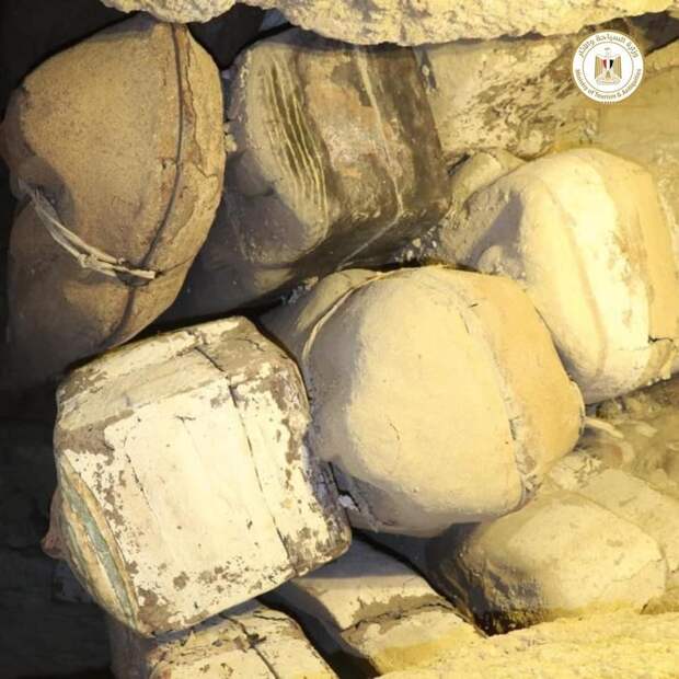 Страшные болезни древности: бруцеллёз у 3000-летней мумии и заразный сыр
