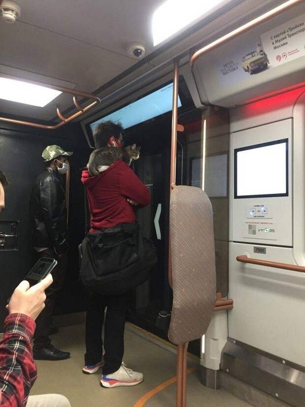 Подборка прикольных картинок