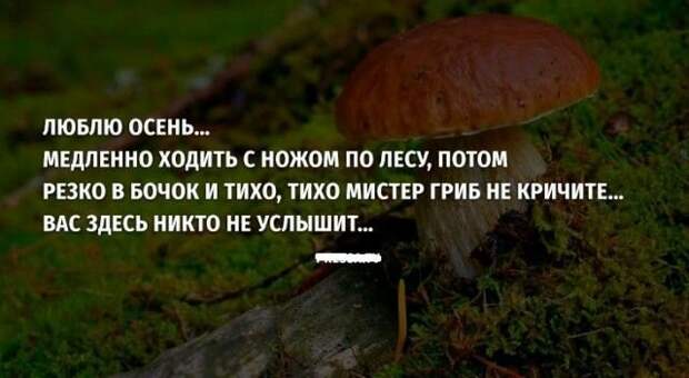 Пятничное анекдотики, прикол, юмор