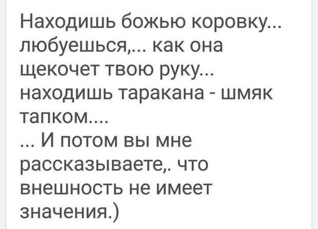 Шмяк тапком Шмяк тапком