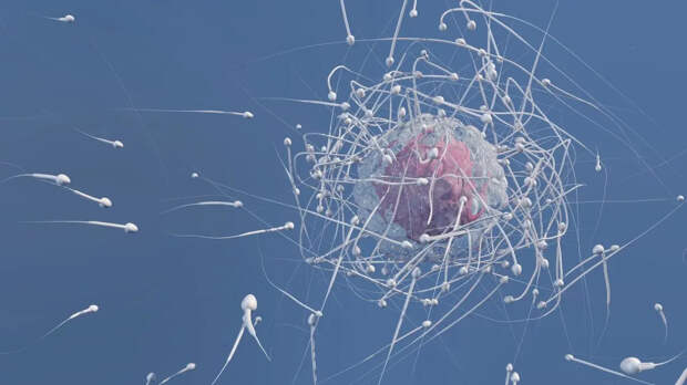 Почему сперматозоиды теряются в невесомости — под угрозой ли колонизация Марса?