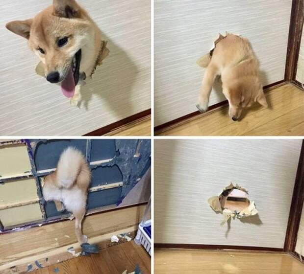 Прикольные картинки абавсём:D