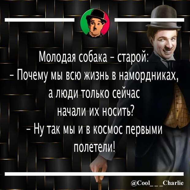 Без названия