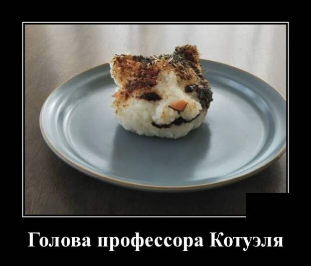 demotivatory-demotivator-smeshnye-demotivatory-demotivator-so-smyslom