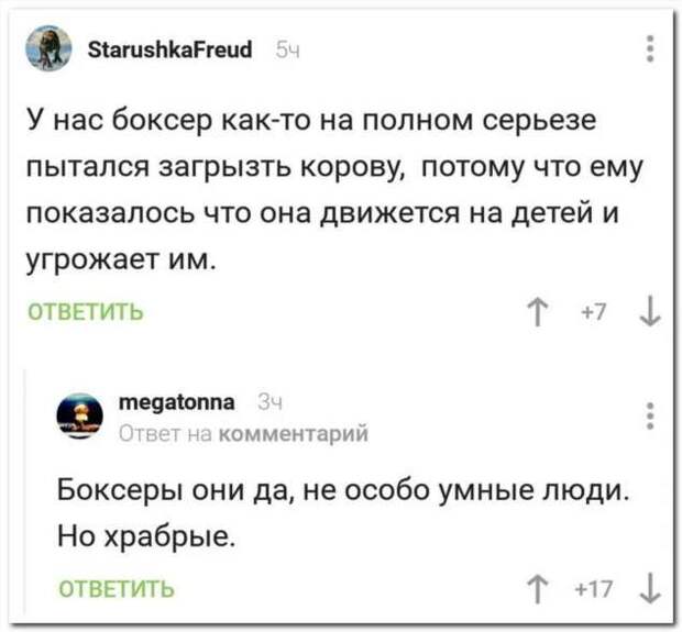 Смешные комментарии. Подборка chert-poberi-kom-chert-poberi-kom-24010919052020-18 картинка chert-poberi-kom-24010919052020-18