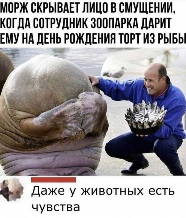 Трогательные картинки и смешные мемы