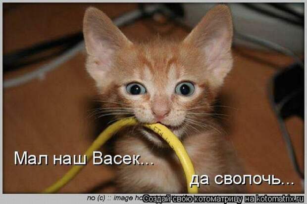 Мысли вслух :)
