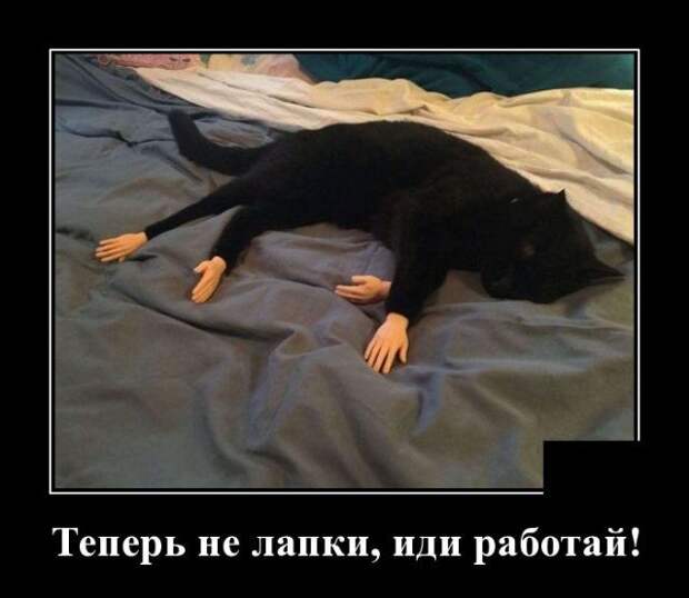demotivatory-demotivator-smeshnye-demotivatory-demotivator-so-smyslom