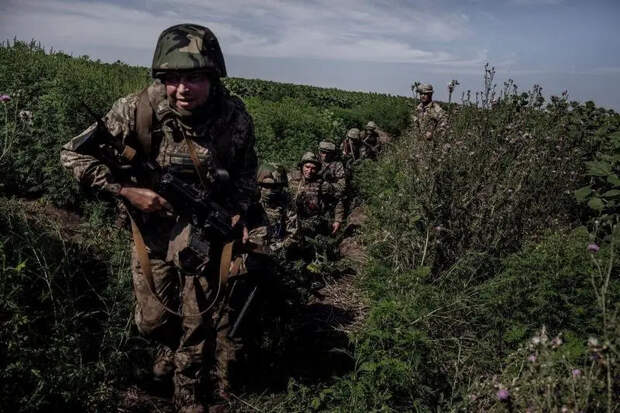 Бойцы бывшего штурмового батальона «Сомали» уничтожили под Покровском переброшенных туда наёмников из Португалии