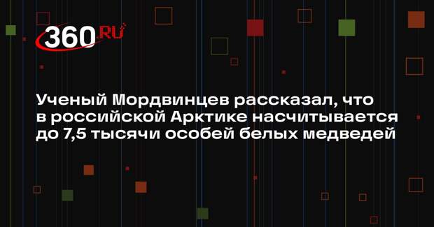 Ученый Мордвинцев рассказал, что в российской Арктике насчитывается до 7,5 тысячи особей белых медведей