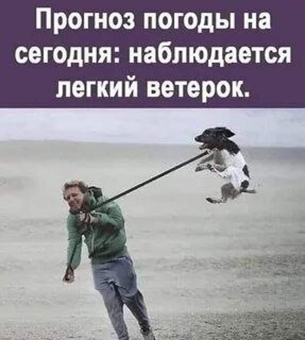 О погоде в Донецке