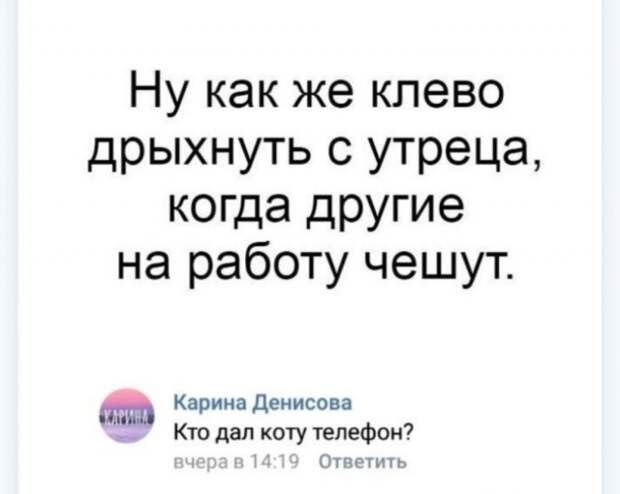 Высказывания и комментарии из социальных сетей (23 скриншота)