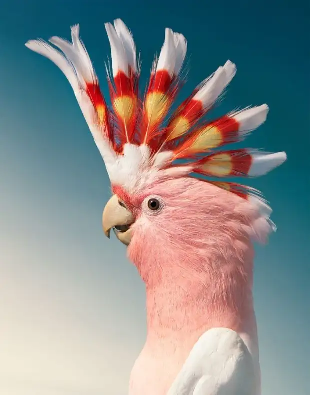 : 25     8 - BigPicture.ru