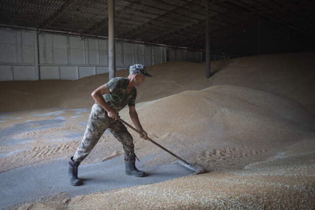 Замгенпрокурора Украины Вербицкий заявил о масштабном нелегальном вывозе зерна