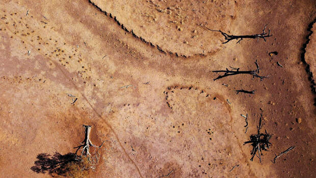 Мертвые деревья и мертвая земля в Новом Южном Уэльсе, Австралия