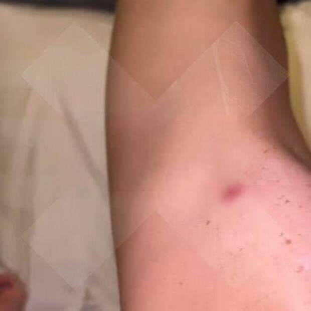 photo_2024-05-29_15-13-04 photo_2024-05-29_15-13-04